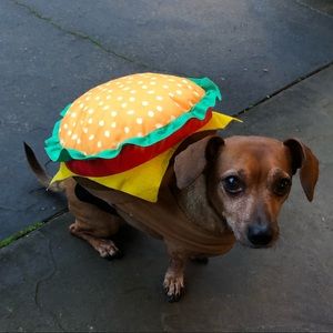 Small Dog Burger Costume